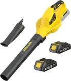 Cordless Leaf Blower, 21V Leaf Blowers C, photo 1