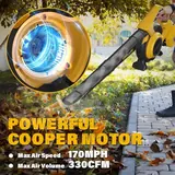 Cordless Leaf Blower & Vacuum, 3-in-1 Le, photo 4
