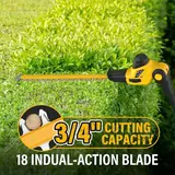 Pole Hedge Trimmer Cordless, 9-Feet Reac, photo 4