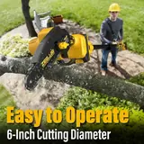 2-IN-1 Cordless Pole Saw & 6 Inch Mini C, photo 3