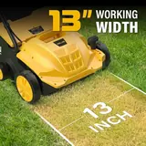 Electric Dethatcher and Scarifier 2-in-1, photo 3