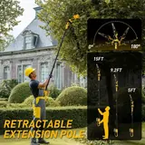 4-in-1 Cordless 6" & 8" Pole Saw & Mini , photo 3