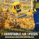 Cordless Leaf Blower, 21V Leaf Blowers C, photo 2