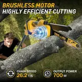 4-in-1 Cordless 6" & 8" Pole Saw & Mini , photo 6